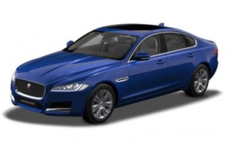 XF