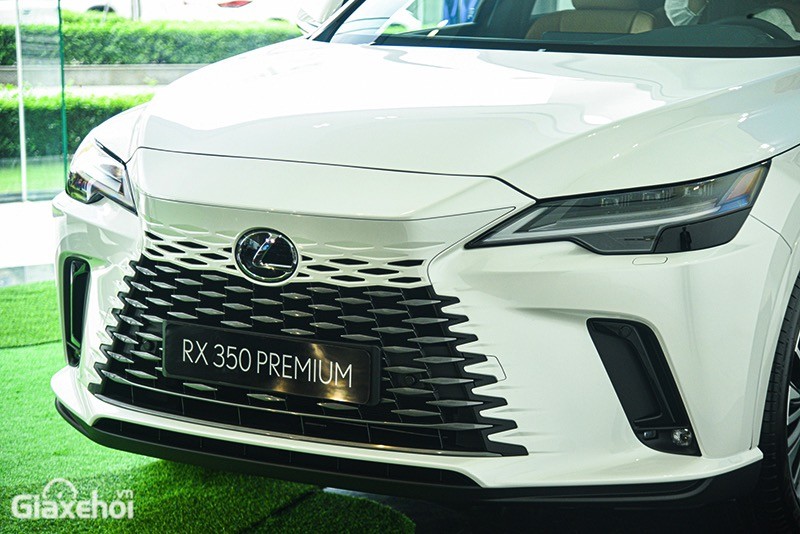 Chi tiết xe 7 chỗ Lexus RX 350L 2019 tại Việt Nam